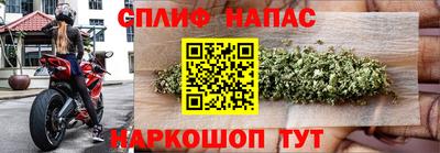 spice Гусиноозёрск