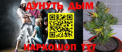 spice Гусиноозёрск