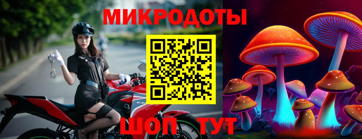 как найти   Галлюциногенные грибы прущие грибы  Мирный  Вход с VPN  Галлюциногенные грибы Cubensis 